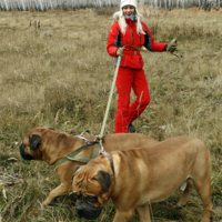 Лебедь, рак и щука