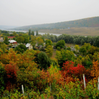 На берегах Днестра