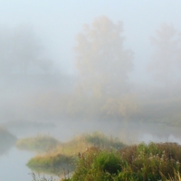 Осенняя зарисовка