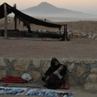 Вечер у бедуинов