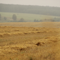 Мне бы в небо