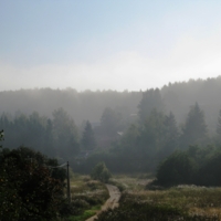 Утро туманное