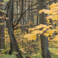 Неизведанная глубина