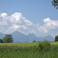 Умиротворение