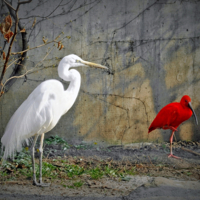Разборки на задворках