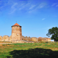 Тень от дерева и башня