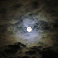 Бесконечность