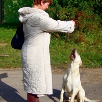 "... служить!!!"