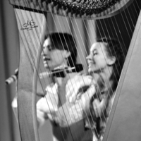 Сквозь струны арфы
