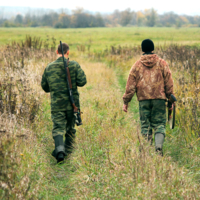 Охотничий дуэт