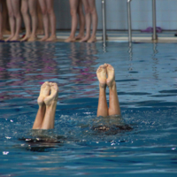 Все подружки по парам...