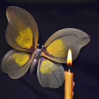 Он с огнем летит мириться...