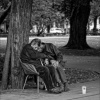 Спящие "красавцы"