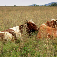 Спокойствие и тишина...
