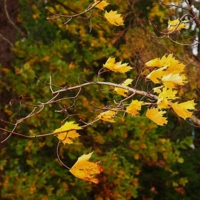 За пять минут до падения.