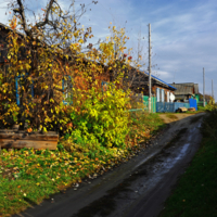 Осыпается наш бедный сад...