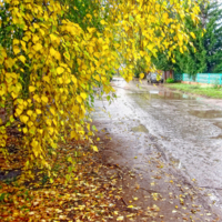 Осени приметы