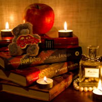 Набор юной леди 21 века.