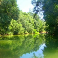 река летняя