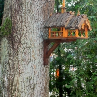 Мой адрес не дом и не улица...