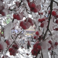 У природы нет плохой погоды