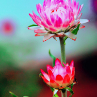 Настроение