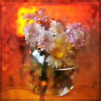 Радужная цветочность