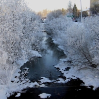 Снежные деревья.