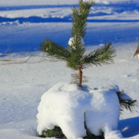 Укрылась от холода.