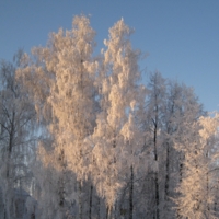 Мороз и солнце