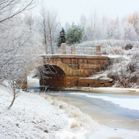 Первые заморозки.