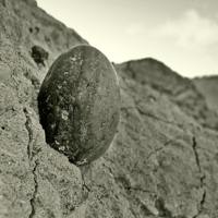 каменное яйцо