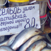 Редкие породы - для народа!