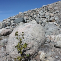 В каменном царстве.