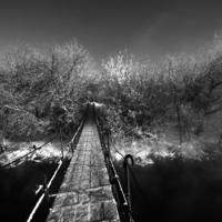 Мост в закалдованный лес