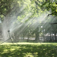 Весёлый дождик.