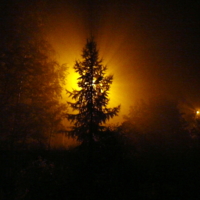 туман, улица, фонарь