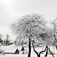 "Зима в деревне"