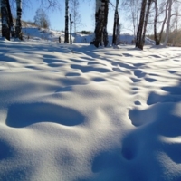 новогодний снег