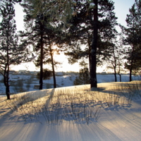 Солнечный снег