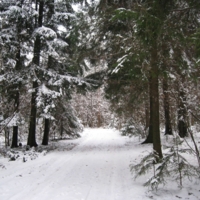 Зимняя дорога