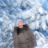 зимний сказочный лес...