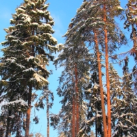 В солнечный день.