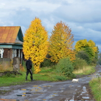 Вдоль и поперек