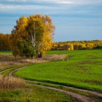 По дороге в осеннюю сказку.