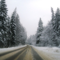 Дорога в зиму