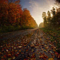 Дорога в Осень