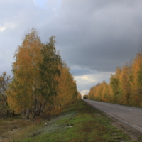 Осенняя дорога.