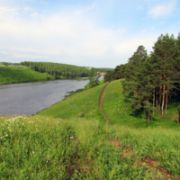 Тропинка узенькая вьётся