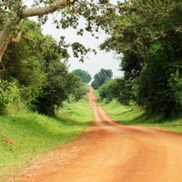 Дороги Уганды